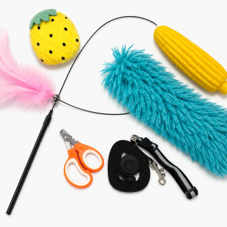 Pet Play, Grooming & Walking Essentials Bundle