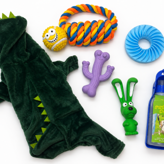 Pet Comfort, Play & Care Essentials Bundle